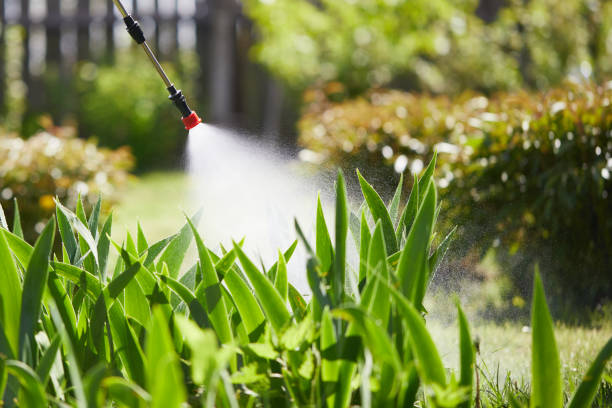 24/7 Emergency Wasp Removal experts in Ionia, MI
