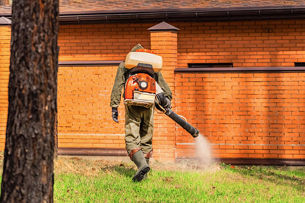 Top rated local Wasp Removal specialists in Ionia, MI
